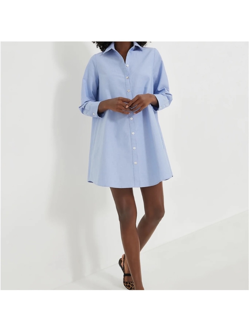 Tuckernuck Light Blue Button-Front Mini Shirt Dress